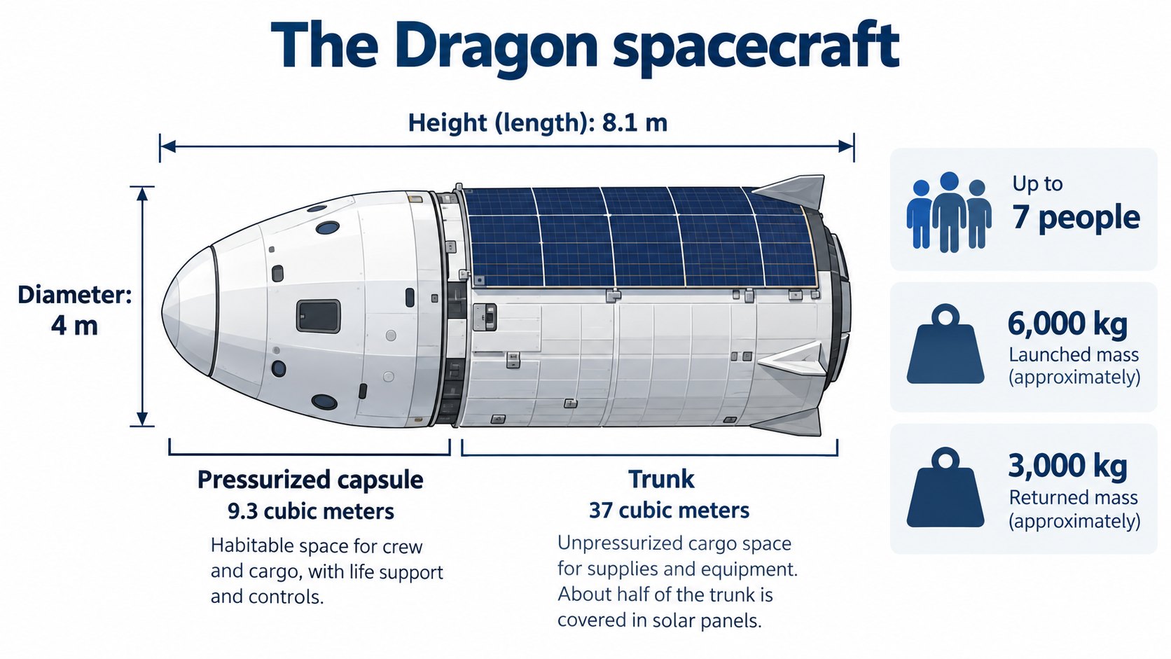 The Dragon spacecraft: the pressurized crew section and the trunk behind it (AI-generated concept diagram, different from the real shape)
